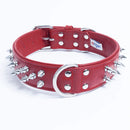 ANGEL "Amsterdam Spiked" Leather Collar 24" x 1.5" (Valentine Red)