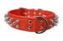 ANGEL "Amsterdam Spiked" Leather Collar 26" x 2" (Goldfish Orange)