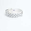 ANGEL "Amsterdam Spiked" Leather Collar 26" x 2" (White)