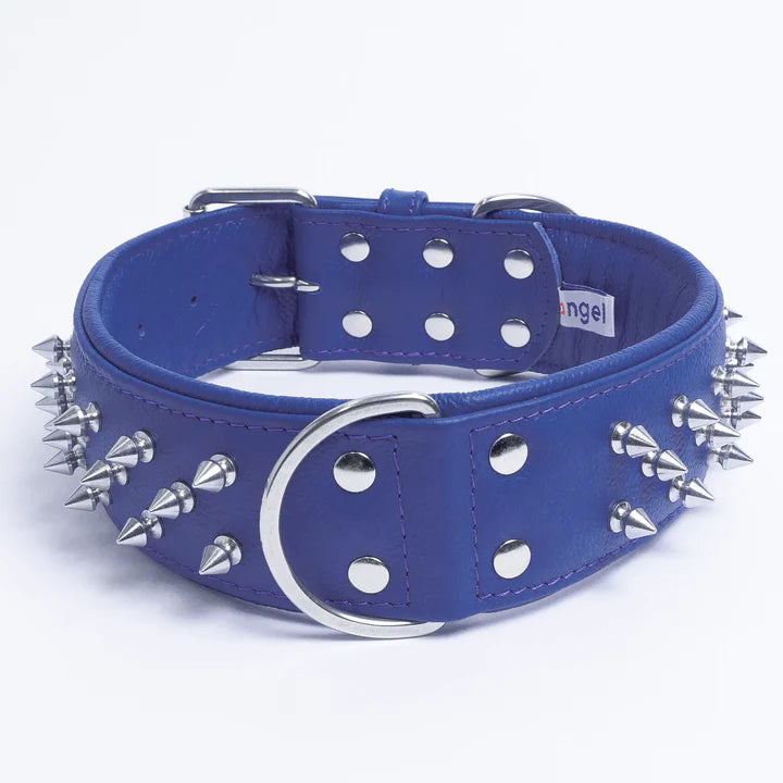 ANGEL "Amsterdam Spiked" Leather Collar 26" x 2" (Cobalt Blue)