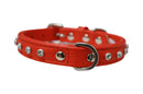 ANGEL "Athens" Leather Collar 14" x 5/8" (Goldfish Orange)