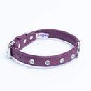 ANGEL "Athens" Leather Collar 18" x 3/4" (Orchid Purole)