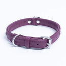 ANGEL "Athens" Leather Collar 18" x 3/4" (Orchid Purole)