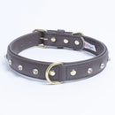 ANGEL "Athens Replica Diamonds" Leather Collar 20" x 1" (Chocolate Brown)