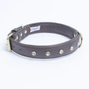 ANGEL "Athens Replica Diamonds" Leather Collar 20" x 1" (Chocolate Brown)