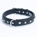 ANGEL "Athens Replica Diamonds" Leather Collar 22" x 1" (Black)