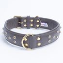 ANGEL "Athens Replica Diamonds" Leather Collar 22" x 1.5" (Chocolate Brown)