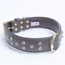 ANGEL "Athens" Leather Collar 24" x 1 1/2" (Chocolate Brown)
