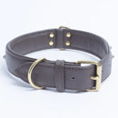 ANGEL "Athens" Leather Collar 24" x 1 1/2" (Chocolate Brown)