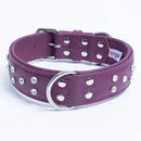 ANGEL "Athens Replica Diamonds" Leather Collar 26" x 1.5" (Orchid Purple)