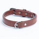 ANGEL "Dallas" Leather Collar 18" x 3/4" (Brown)