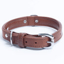ANGEL "Dallas" Leather Collar 18" x 3/4" (Brown)