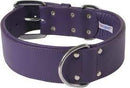 ANGEL "Dallas" Leather Collar 24" x 1.5" (Purple)-- LAST ONE -
