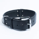 ANGEL "Dallas" Leather Collar 26" x 2" (Black)