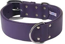 ANGEL "Dallas" Leather Collar 26" x 2" (Purple)-- LAST ONE -