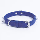 ANGEL "Rotterdam Spiked" Leather Collar 16" x 3/4" (Cobalt Blue)