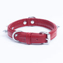 ANGEL "Rotterdam Spiked" Leather Collar 18" x 3/4" (Valentine Red)