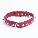 ANGEL "Rotterdam Spiked" Leather Collar 22" x 1" (Valentine Red)