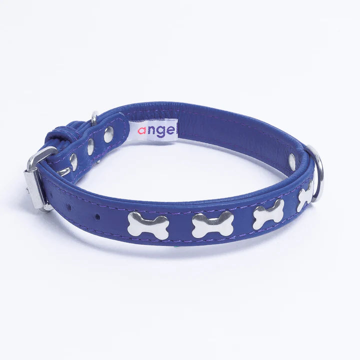 ANGEL "Rotterdam Bones" Leather Collar 14" x 3/4" (Cobalt Blue)