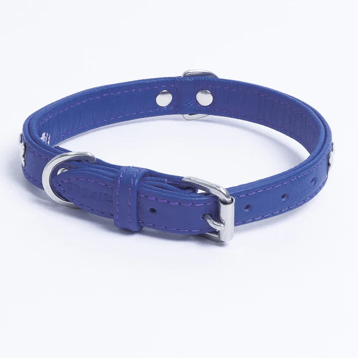 ANGEL "Rotterdam Bones" Leather Collar 14" x 3/4" (Cobalt Blue)