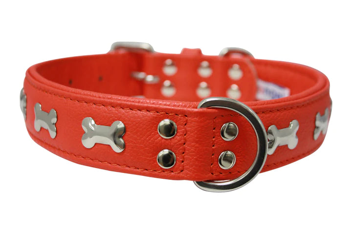 ANGEL "Rotterdam Bones" Leather Collar 24" x 1 1/2" (Goldfish Orange)