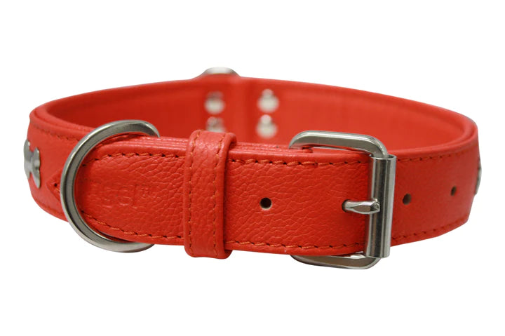 ANGEL "Rotterdam Bones" Leather Collar 24" x 1 1/2" (Goldfish Orange)