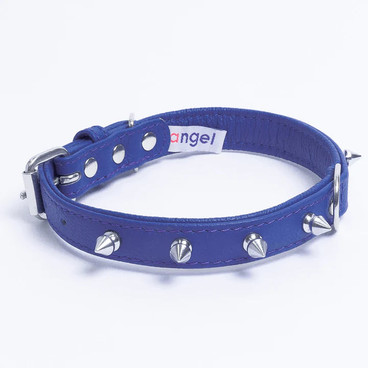 ANGEL "Rotterdam Spiked" Leather Collar 14" x 3/4" (Cobalt Blue)