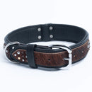 ANGEL "Sedona" Leather Collar 24" x 1.5" (Black)