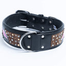 ANGEL "Sedona" Leather Collar 26" x 2" (Black)