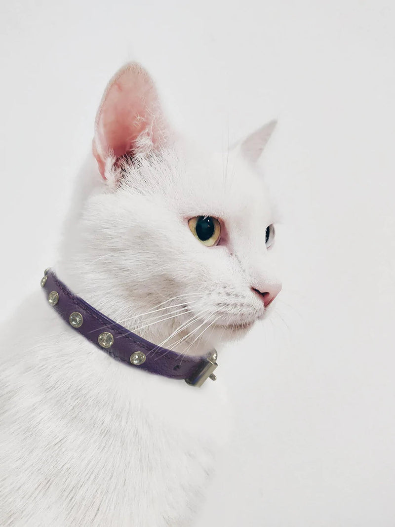 ANGEL "Athens" Leather Cat Collar 12" x 1/2" (Purple)