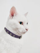 ANGEL "Athens" Leather Cat Collar 10" x 1/2" (Baby Blue)