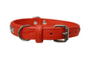 ANGEL "Rotterdam Bones" Leather Collar 14" x 3/4" (Goldfish Orange)