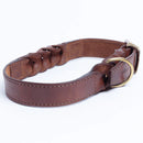 ANGEL "Braided" Leather Collar 28" x 1.25" (Brown)