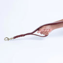 ANGEL "Braided Leash" (Double Handle) Leather Collar 6' x 1" (Brown)