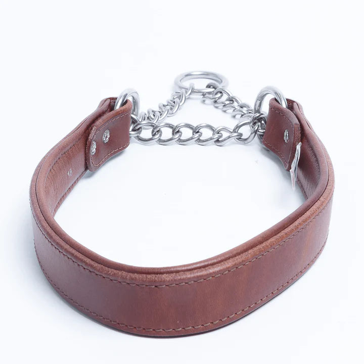 ANGEL "Rio Martingale" Leather Collar 14" x 1" (Brown)