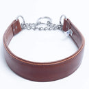 ANGEL "Rio Martingale" Leather Collar 24" x 1.5" (Brown)