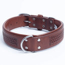 ANGEL "Santa Fe" Leather Collar 22" x 1.5" (Brown)