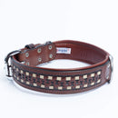 ANGEL "Tulsa" Leather Collar 22" x 1.5" (Brown)