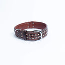 ANGEL "Tulsa" Leather Collar 22" x 1.5" (Brown)