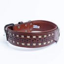 ANGEL "Tulsa" Leather Collar 26" x 2" (Brown)