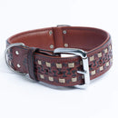 ANGEL "Tulsa" Leather Collar 26" x 2" (Brown)
