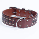 ANGEL "Tulsa" Leather Collar 26" x 2" (Brown)