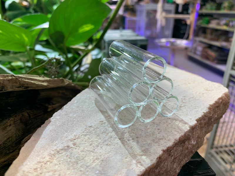 Acrylic Clear Shrimp Pipes - 6 Stack/Tube - Hide - Small