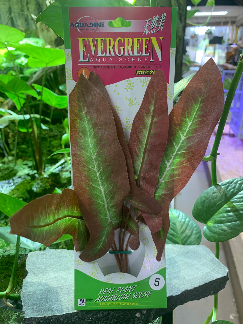 AquaDine Evergreen Aqua Scene 9" Silk Plant