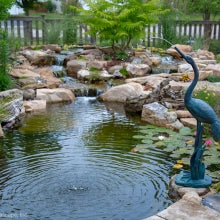 Aquascape Standing Crane Spitter - High-Quality Polyresin Pond Water Feature