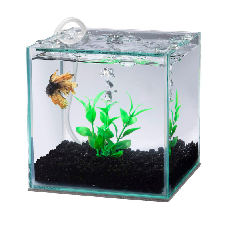 Betta hotsell aquarium filter
