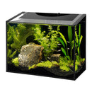 AQUEON Ascent Frameless Aquarium Kit - 10 gal - DOES NOT SHIP -
