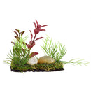 Assorted weighted Plant Foregrounder - Red
