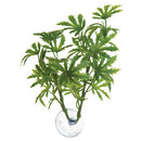 Zoo Med Betta Plants - Papaya - Realistic Plastic Plant - Suction Cup