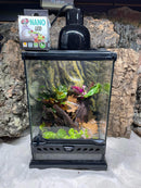 Bio Active Terrarium complete with 1 Anthony's Dart Frog -  (Epipedobates anthonyi)